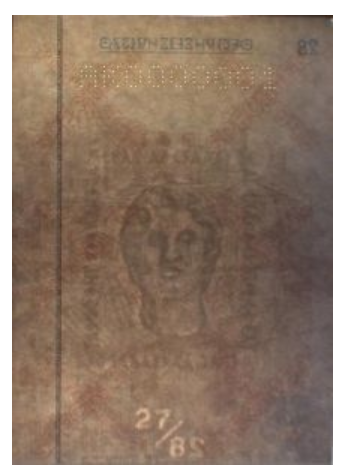 watermark passport example